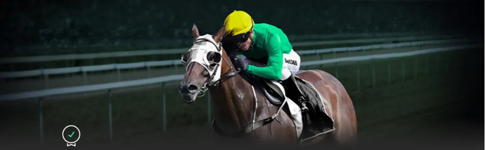 辽篮集结最,强阵容,三大支柱助,爱游戏app,爱游戏官网,爱游戏体育官网,爱游戏体育app